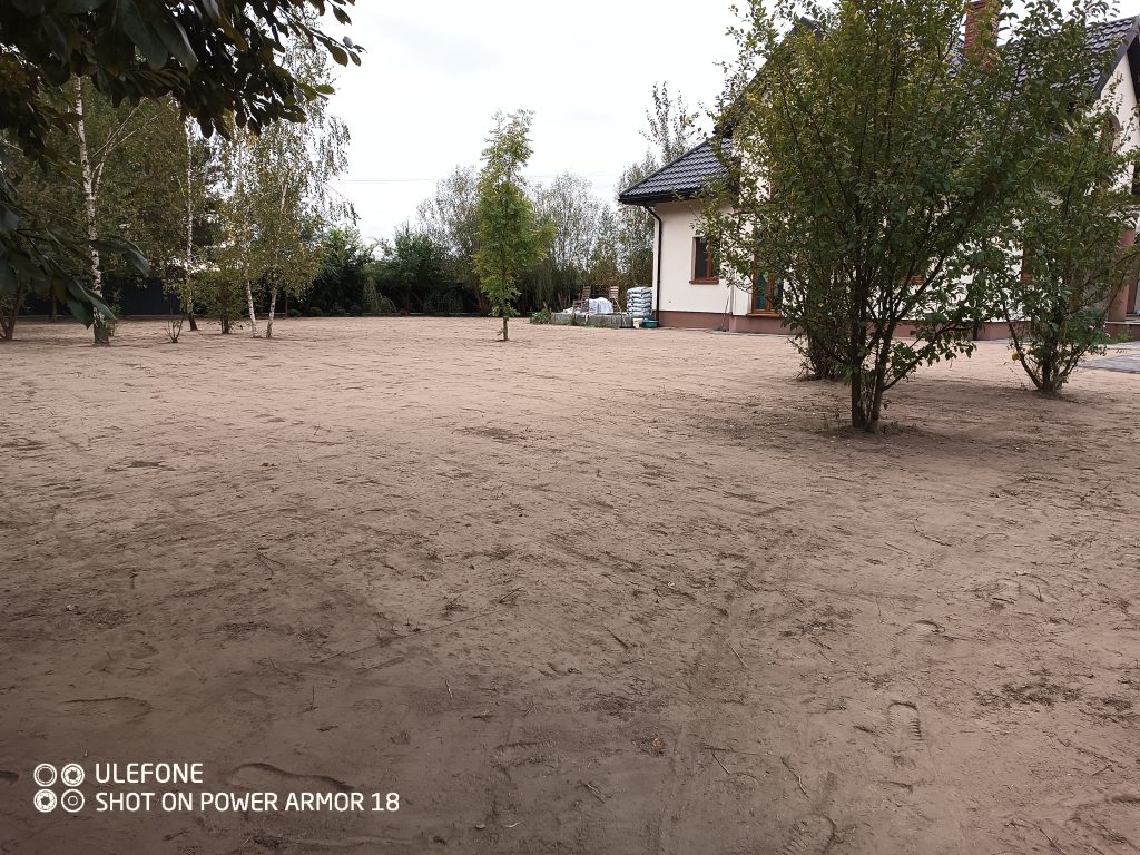 .trashed-1737557769-IMG_20241001_104623_763