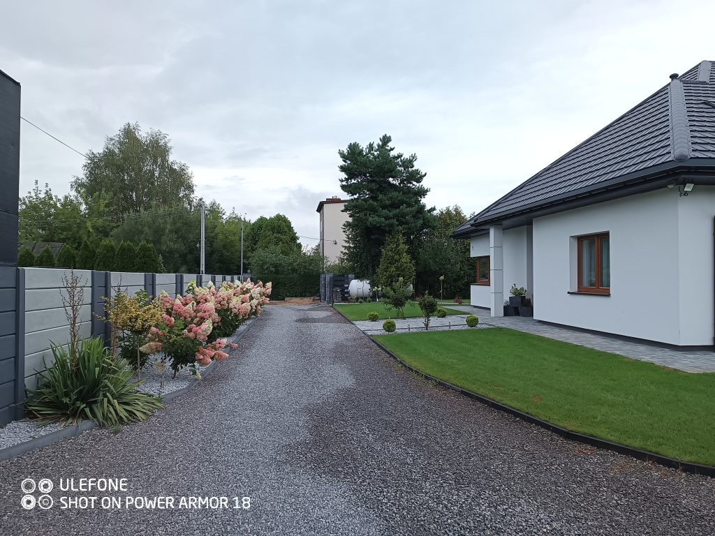 .trashed-1737899599-IMG_20240725_071021_919